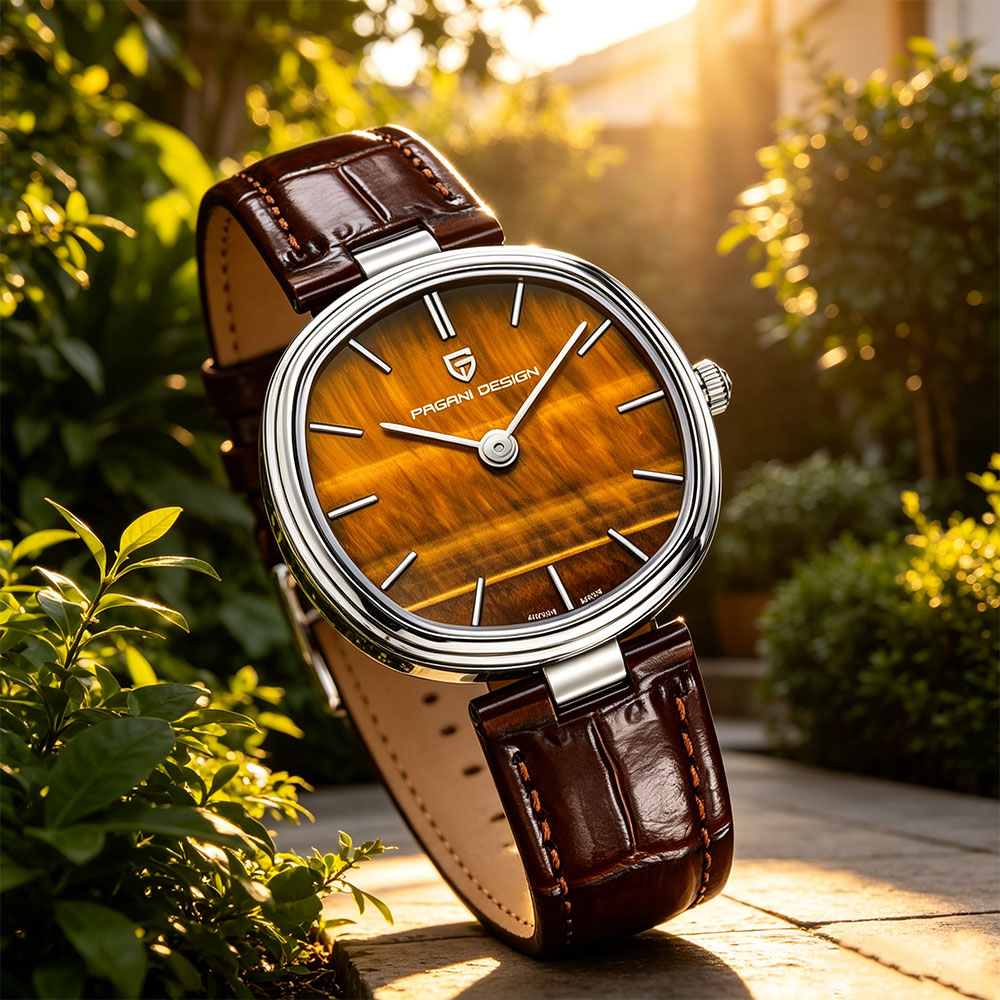 PAGANI DESIGN 2026 New Quartz  - огляд і ціна Anti-Magnetic Watch
