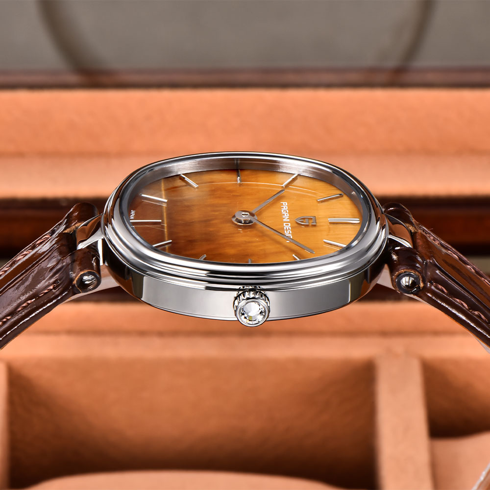 PAGANI DESIGN 2026 New Quartz  - огляд і ціна Anti-Magnetic Watch