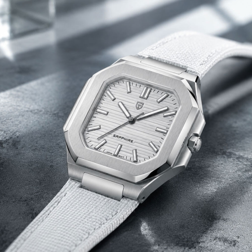 PAGANI DESIGN Top Brand Men Wa - огляд і ціна Anti-Magnetic Watch