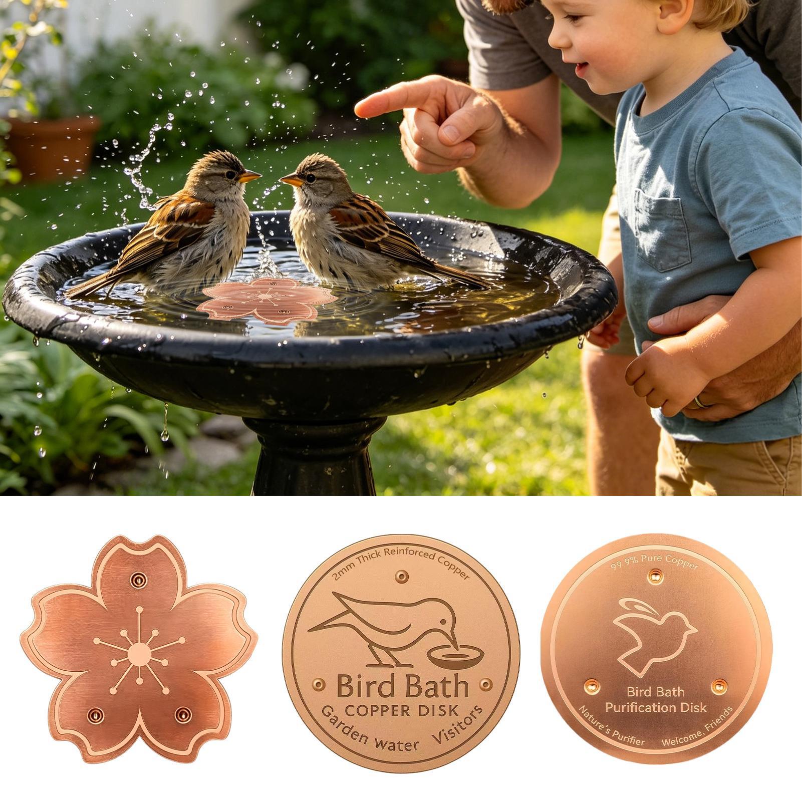 Copper For Bird Bath Safe Puri - огляд і ціна Watch S