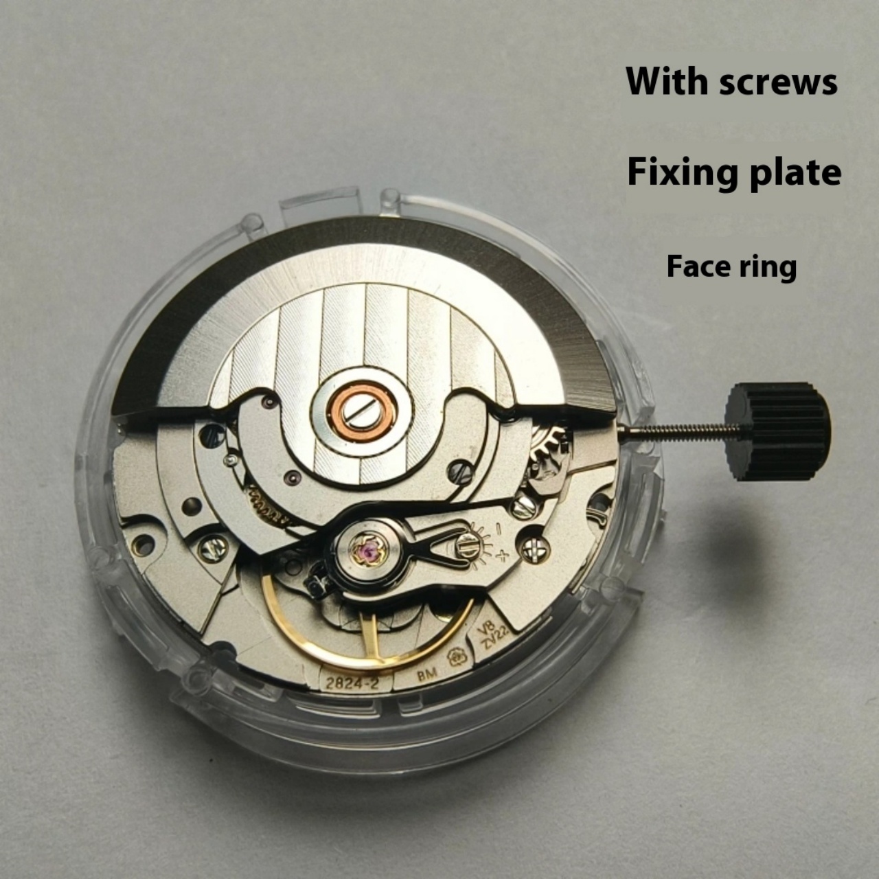 V8 Stainless Steel Eco-Friendl - огляд і ціна Watch V8