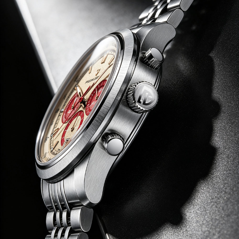 PAGANI DESIGN New Men Watch Lu - огляд і ціна Anti-Magnetic Watch