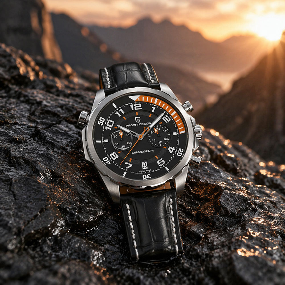 PAGANI DESIGN Classic Leather  - огляд і ціна Anti-Magnetic Watch